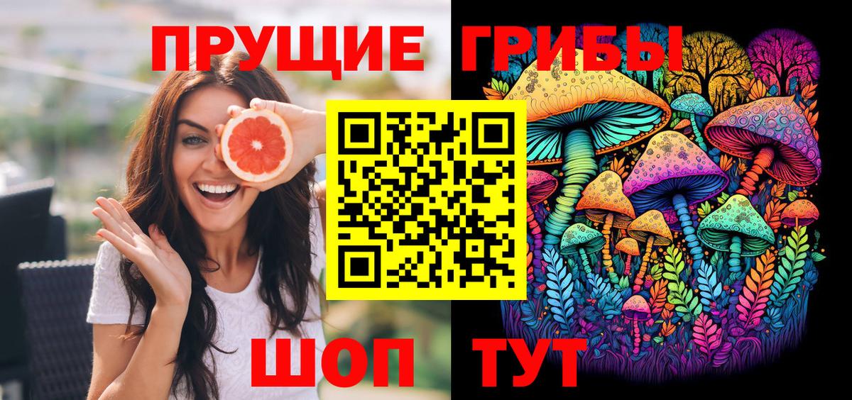 Псилоцибиновые грибы Cubensis Нальчик